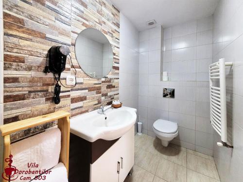 a bathroom with a sink and a toilet at Vila Dorobantilor in Cluj-Napoca