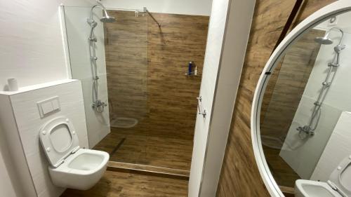 a bathroom with a toilet and a shower at Eclipse Residence 1 in Baia Mare