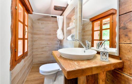 a bathroom with a sink and a toilet at Beautiful Home In Breznica With Kitchen in Brežnica