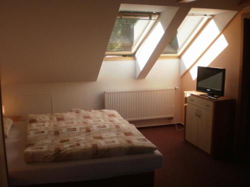 a bedroom with skylights and a bed and a television at Penzion Na Devitce in Světnov