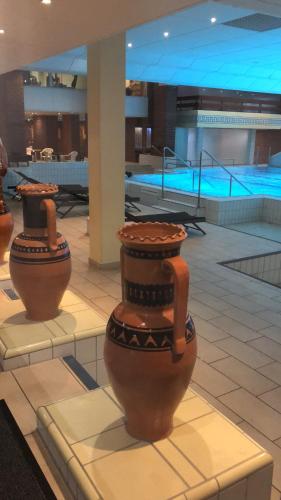 two vases on display in a building with a pool at FERIENWOHNUNG FORSTPANORAMA in Sankt Englmar