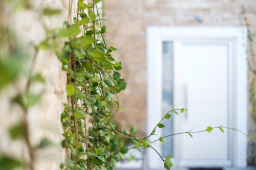 a building with a white door and a plant at Royal Stay Luxury Homes in Paphos