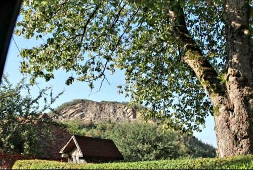 a house in a field with a mountain in the background at Vatra Strabunilor in Moigrad