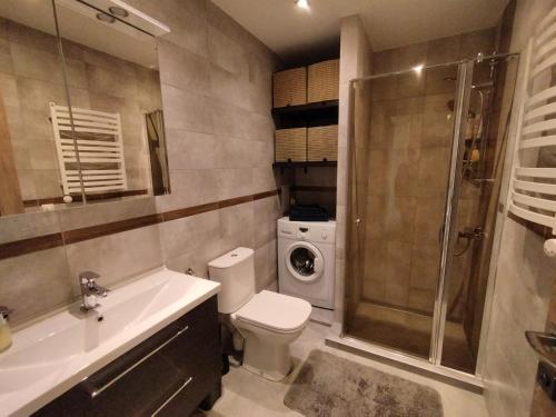 a bathroom with a toilet sink and a shower at Apartments Franny's Bees in Vilnius