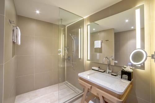 a bathroom with a shower and a sink and a mirror at Le Grand Pavillon Chantilly in Chantilly