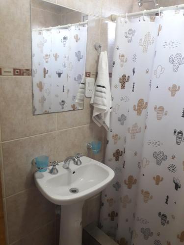 baño con lavabo y cortina de ducha en Alquilerpordiaviedma en Viedma
