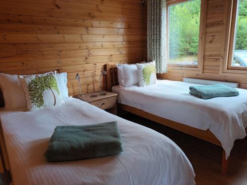 two beds in a log cabin with a window at Fern Lodge - Luxury Lodge with steamroom in Perthshire in Perth