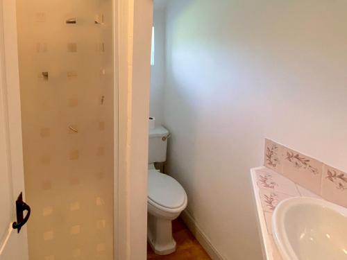 a bathroom with a white toilet and a sink at Willow Cottage in Ironbridge