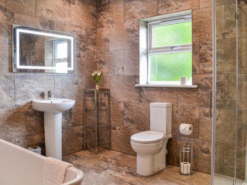 uma casa de banho com um WC, um lavatório e um espelho. em Chestnuts em Burgh by Sands