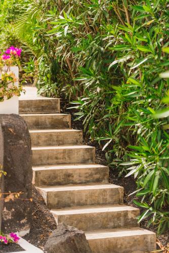 a set of stairs in a garden with plants at Casa Sua in Famara