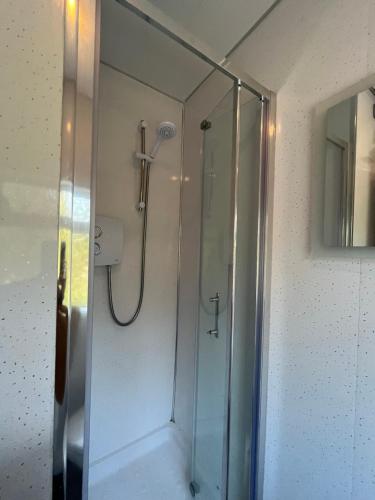 een douche met een glazen deur in de badkamer bij East City Flat in Dublin