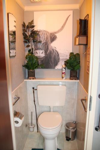 een badkamer met een toilet en een foto van een koe bij Veluwe Park Reewold Chalet Eclipse in Putten