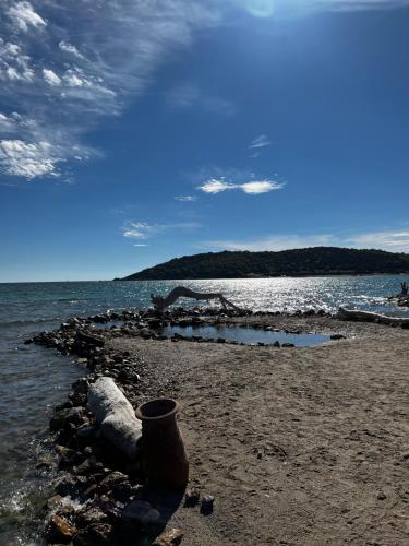 a pot sitting on a beach next to the water at Thedreamlifehouse in Anavissos