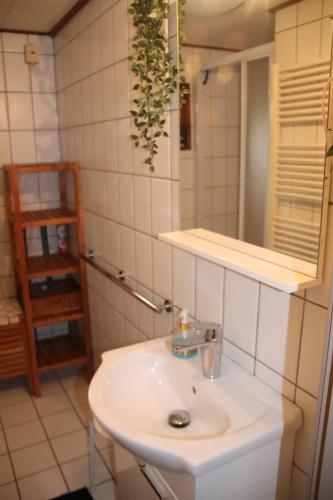 a bathroom with a white sink and a mirror at Veluwe Park Reewold Chalet Talisman in Putten