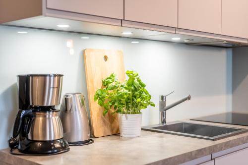 a kitchen counter with a coffee maker and a plant at Przystań Koło Brzegu in Kołobrzeg