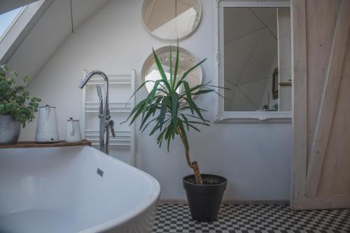 a bathroom with a bath tub and a potted plant at Domos by Toore Patagonia in Puerto Natales