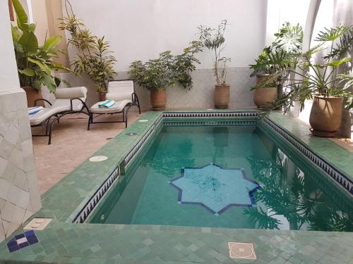 una piscina in una stanza con piante di Riad Tafilag a Taroudant