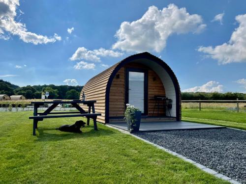 uma pequena cabana de madeira com uma mesa de piquenique e um cão em Eastridge Glamping - Camping Pods em Shrewsbury