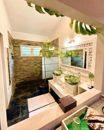 uma casa de banho com um lavatório e um espelho em Chambres d'hôtes & spa Le Jardin de Ravintsara em Ravine des Cabris