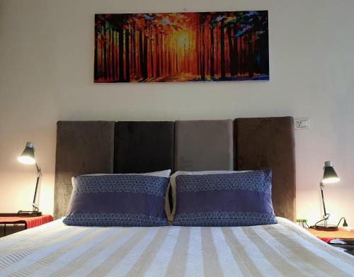ein Bett mit zwei Kissen und einem Gemälde an der Wand in der Unterkunft Studio Mirador, todo lo que necesitas para disfrutar in Tarija