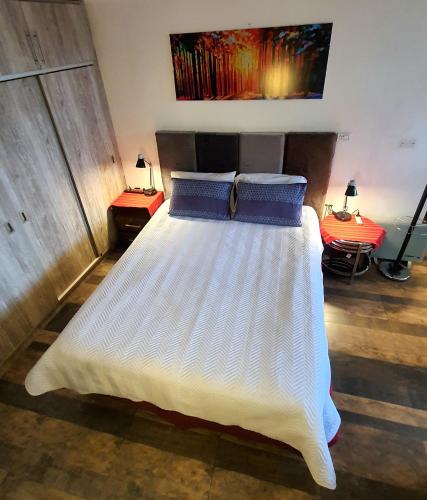 a bed with two blue pillows in a room at Studio Mirador, todo lo que necesitas para disfrutar in Tarija