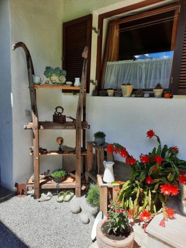 a room with a shelf with plants and flowers at Haus Angerbichl in Ramsau