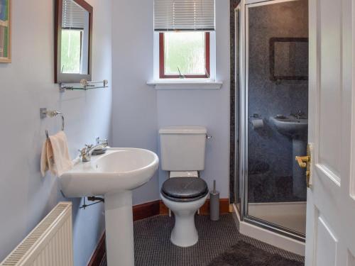 a bathroom with a toilet and a sink and a shower at Tamarchan Lodge in Ballachulish