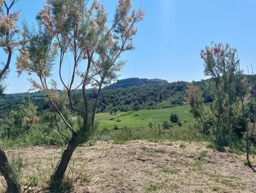 Minicasa nella fattoria