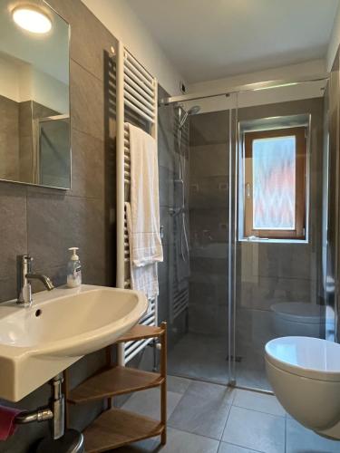 un bagno con lavandino, doccia e WC di Casa Alfredino a Rocca Pietore
