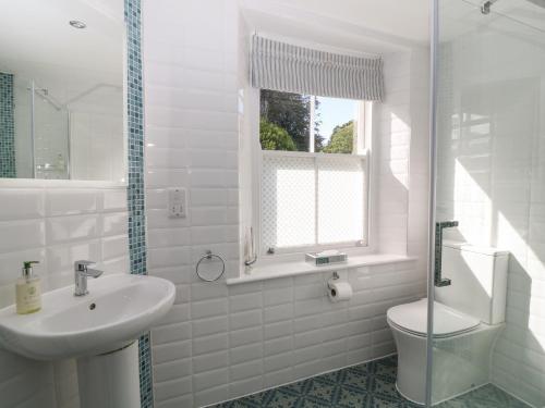 a bathroom with a sink and a toilet and a window at South Wing Cottage in Yelverton