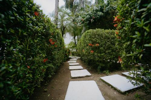 a garden with stepping stones and bushes and trees at Dreamy Contentment in Matapalo