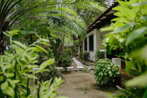 a house with a garden with trees and plants at Dreamy Contentment in Matapalo