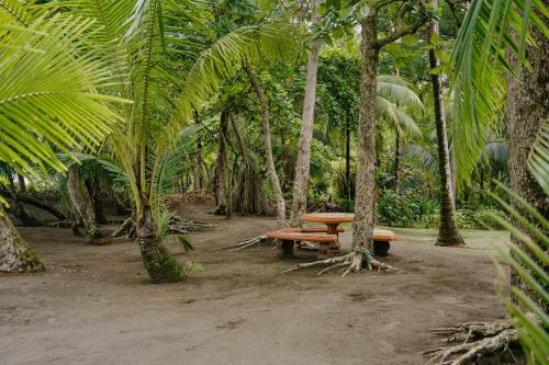 a picnic table in a forest with palm trees at Dreamy Contentment in Matapalo