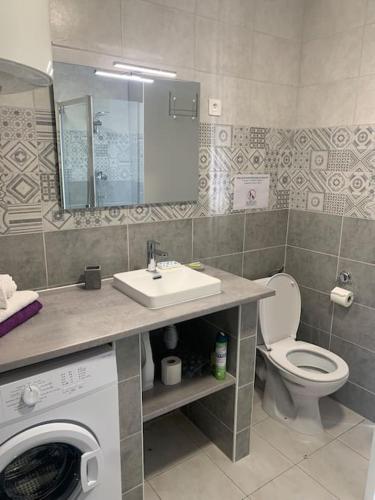 La salle de bains est pourvue de toilettes, d'un lavabo et d'un lave-linge. dans l'établissement Appartement 35m2 climatisé a 10 min d’Ajaccio, à Alata