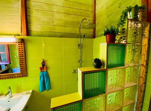 ein grünes Bad mit einem Waschbecken und einer Dusche in der Unterkunft Magnifique Lodge en bois avec piscine et jardin de 800 m2 in Le Lamentin