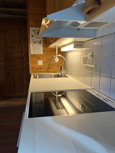 a kitchen with a sink and a counter top at RepoRuka in Ruka