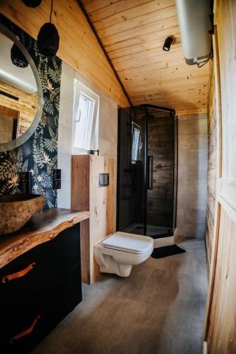 a bathroom with a toilet and a shower at Lawendowy Zakręt in Ustrzyki Dolne