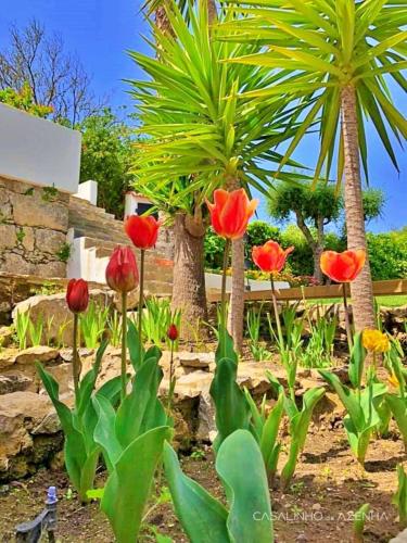 a group of red tulips in a garden with palm trees at Casalinho da Azenha - Charm House in Sintra
