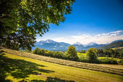 a field of grass with mountains in the background at Ferienwohnung Wallmerhof am ländlichen Wimberg in Adnet