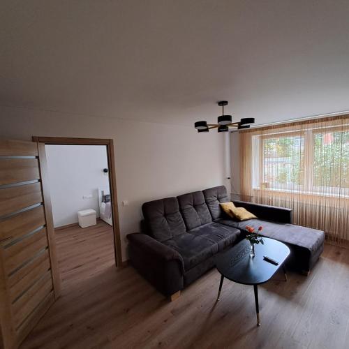 - un salon avec un canapé et une table dans l'établissement Vytės apartamentai, à Kaunas