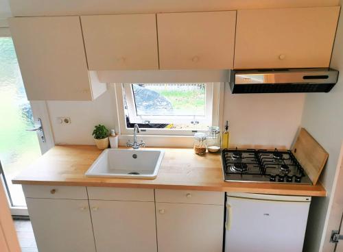 a small kitchen with a sink and a stove at Boslodge 84 in Vorden