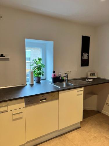 Kuchyň nebo kuchyňský kout v ubytování Das Haupthaus