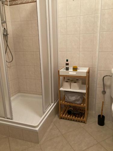 ein Badezimmer mit Dusche und einem Regal mit Handtüchern in der Unterkunft Apartmán Nahoře in Vacov