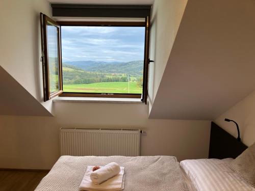 a room with two beds and a window with a view at Apartmán Nahoře in Vacov