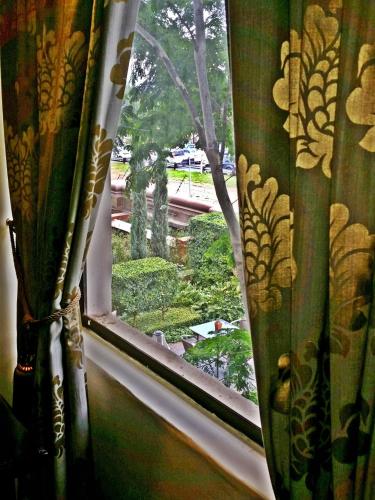 Taman di luar Constantia Manor Guest House