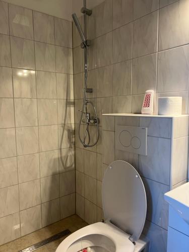 a bathroom with a toilet and a shower at Pension Hirsch in Fluorn