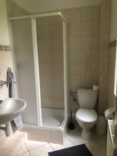 a bathroom with a shower and a toilet and a sink at Villa Ola in Polanica-Zdrój