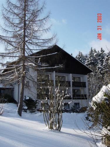 a building in the snow with a tree at Landhaus Am Forst in Bad Alexandersbad