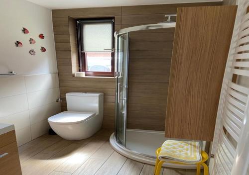 mała łazienka z toaletą i prysznicem w obiekcie Dom wakacyjny Poniatówka w mieście Dąbrowa