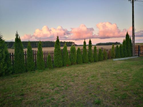 a fence with a row of trees in a yard at Dom wakacyjny Poniatówka in Dąbrowa